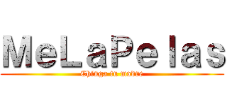 ＭｅＬａＰｅｌａｓ (Chinga tu madre)