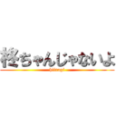 柊ちゃんじゃないよ (hiiragi)