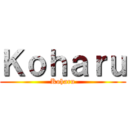 Ｋｏｈａｒｕ (Koharu)