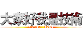 大家好我是技術 (get  out    Beach)