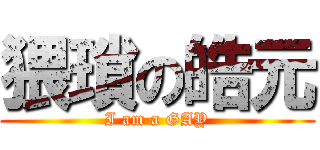 猥瑣の皓元 (I am a GAY)