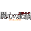 開心の肥貓 (attack on titan)