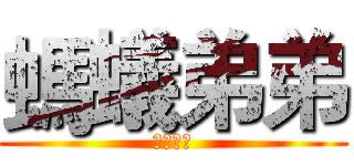 螞蟻弟弟 (螞蟻弟弟)