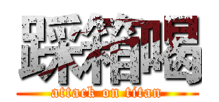 踩箱喝 (attack on titan)