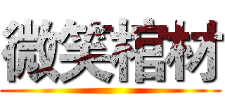 微笑棺材 ()