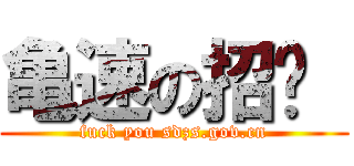 亀速の招辦  (fuck you sdzs.gov.cn)