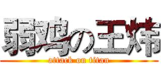 弱鸡の王炜 (attack on titan)
