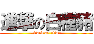 進撃の白種豬 (attack on titan)