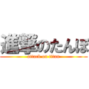 進撃のたんぼ (attack on titan)