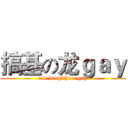 搞基の龙ｇａｙ (one long，three gay)