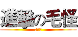 進擊の毛怪 (毛怪製作)