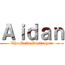 Ａｉｄａｎ (The Deku Destroyer)