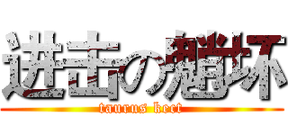 进击の魈坏 (taurus kect)