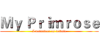 Ｍｙ Ｐｒｉｍｒｏｓｅ (I volunteer as tribute)