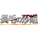 長毛の莎姐 (attack on vantisa)