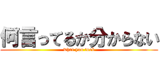 何言ってるか分からない (what you took)