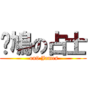 戇鳩の占士 ( on9 James)