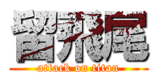 留飛尾 (attack on titan)