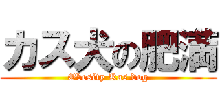 カス犬の肥満 (Obesity Kas dog)