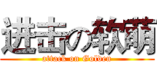 进击の软萌 (attack on Golden)