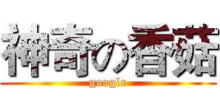 神奇の香菇 (google)