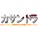 カサンドラ (Cassandra)