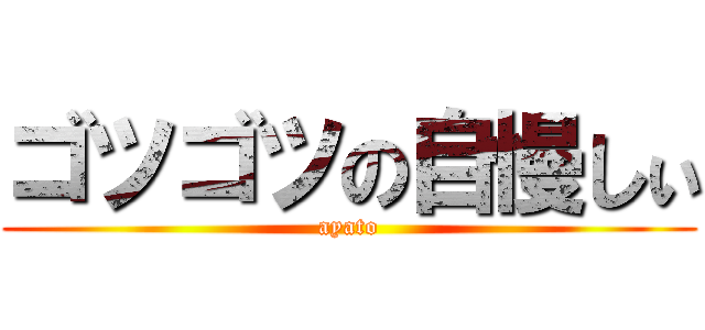 ゴツゴツの自慢しぃ (ayato)