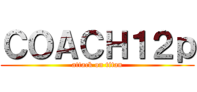 ＣＯＡＣＨ１２ｐ (attack on titan)