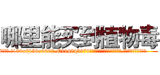 哪里能买到植物毒 (哪里能买到植物毒【电.话186x0156x9662-Q194843976林氏药业】我们做的是长期生意,靠的是老客户长期支持
参考消息网2月20日报道 韩媒称，“剩女多、离婚率高的城市，房价一定会上涨。”这是中国经济学家金岩石2016年12月参加在上海举行的房地产相关论坛时说的话。
)