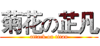 菊花の芷凡 (attack on titan)