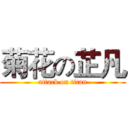 菊花の芷凡 (attack on titan)