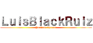 ＬｕｉｓＢｌａｃｋＲｕｉｚ (YouTube Channel)