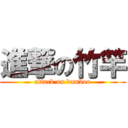 進撃の竹竿 (attack on bamboo)