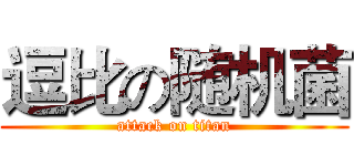 逗比の随机菌 (attack on titan)