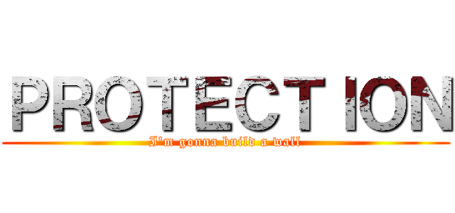 ＰＲＯＴＥＣＴＩＯＮ (I'm gonna build a wall)