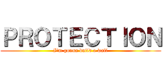 ＰＲＯＴＥＣＴＩＯＮ (I'm gonna build a wall)