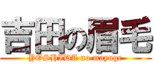 吉田の眉毛 (YOSHIDA no mayuge)