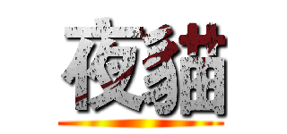 夜貓 ()