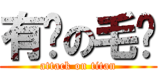 有钱の毛总 (attack on titan)