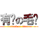 有钱の毛总 (attack on titan)