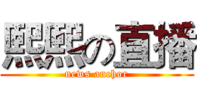 熙熙の直播 (news anchor)