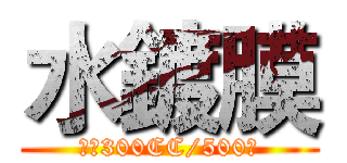 水鍍膜 (一瓶300CC/500元)