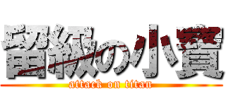 留級の小寶 (attack on titan)