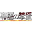專屬の笨蛋 (attack on titan)