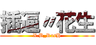 插逼〃花生 (X.B_RusH)