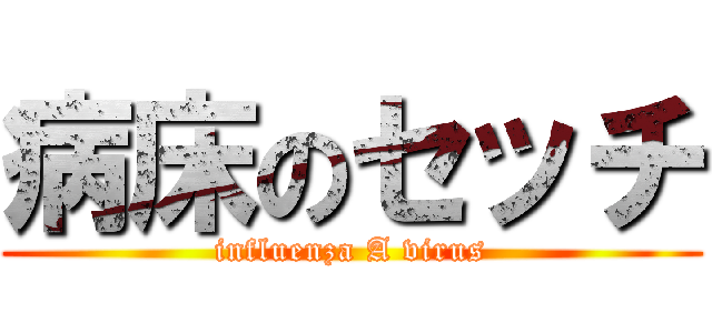 病床のセッチ (influenza A virus)