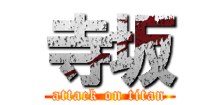 寺坂 (attack on titan)