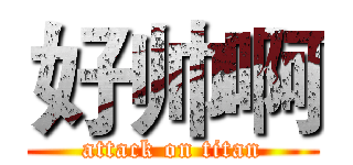 好帅啊 (attack on titan)