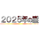 ２０２５年の崖 ()