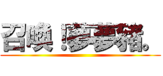 召喚！夢夢豬。 ()